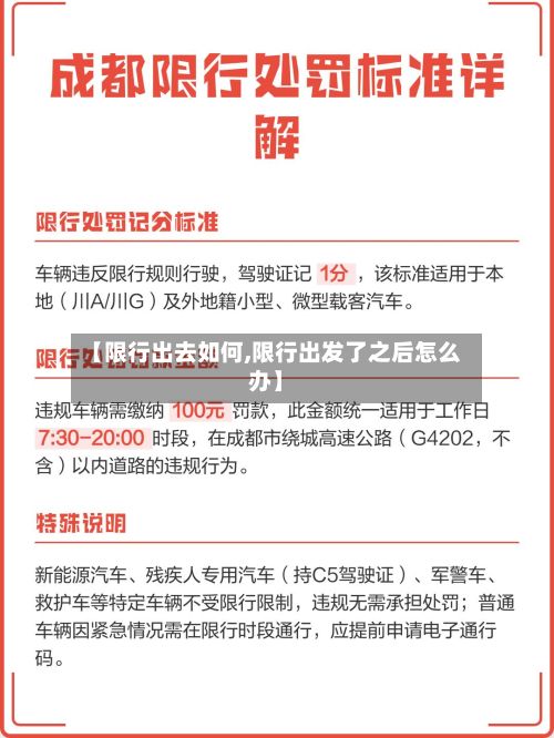 【限行出去如何,限行出发了之后怎么办】