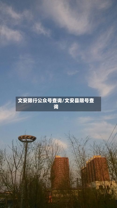 文安限行公众号查询/文安县限号查询-第2张图片