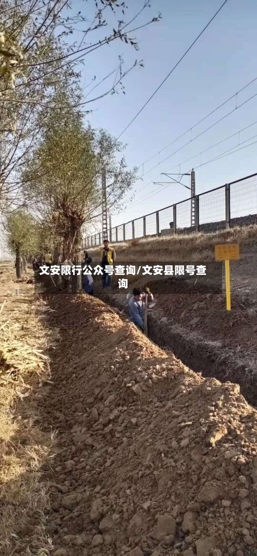文安限行公众号查询/文安县限号查询