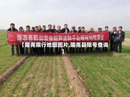 【隆尧限行地图图片,隆尧县限号查询】
