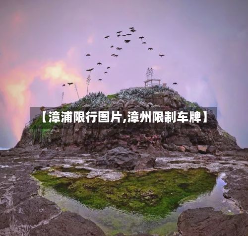 【漳浦限行图片,漳州限制车牌】-第2张图片