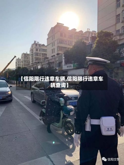 【信阳限行违章车辆,信阳限行违章车辆查询】-第2张图片
