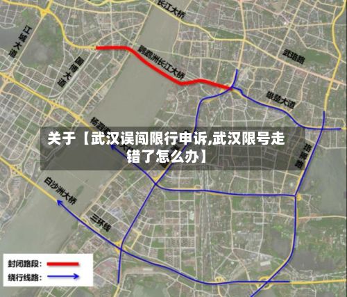 关于【武汉误闯限行申诉,武汉限号走错了怎么办】-第2张图片