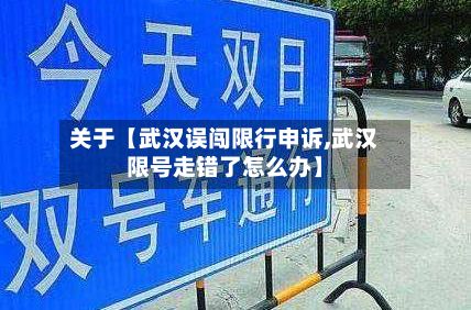 关于【武汉误闯限行申诉,武汉限号走错了怎么办】