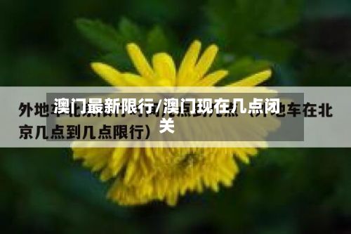 澳门最新限行/澳门现在几点闭关-第2张图片