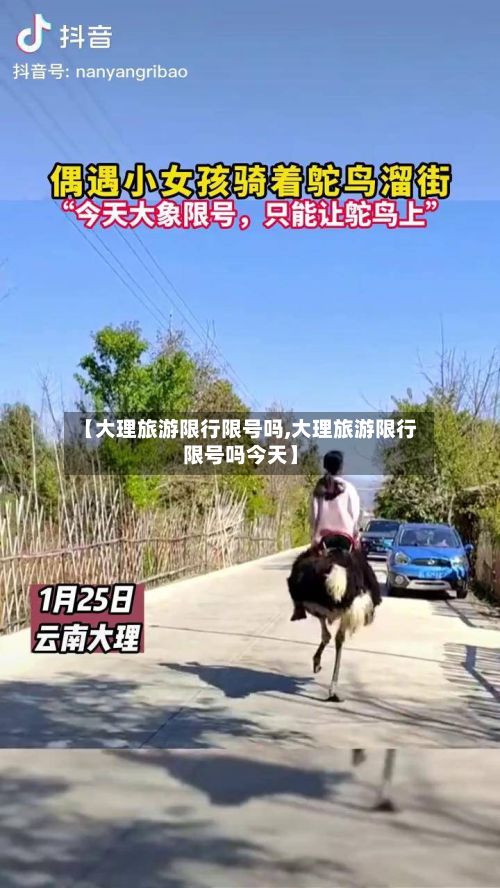 【大理旅游限行限号吗,大理旅游限行限号吗今天】-第2张图片