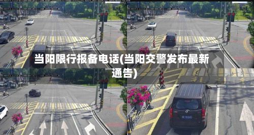 当阳限行报备电话(当阳交警发布最新通告)-第2张图片