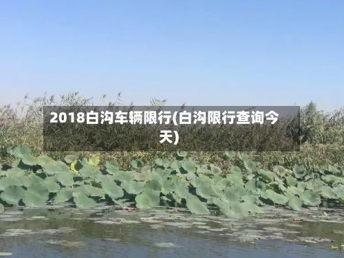 2018白沟车辆限行(白沟限行查询今天)-第2张图片