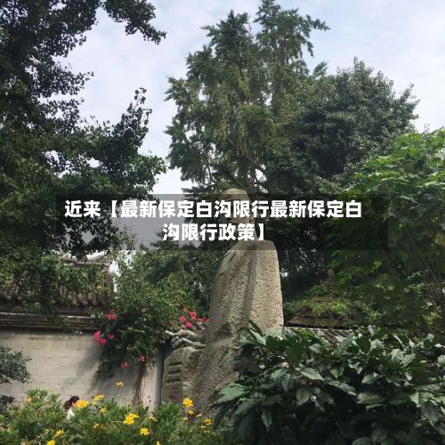 近来【最新保定白沟限行最新保定白沟限行政策】