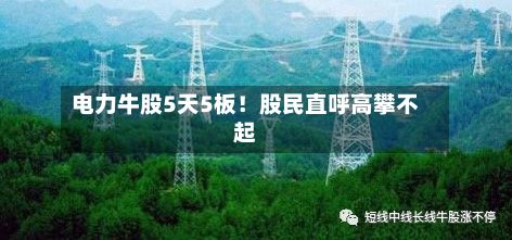 电力牛股5天5板!股民直呼高攀不起-第2张图片