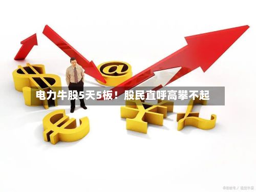 电力牛股5天5板！股民直呼高攀不起