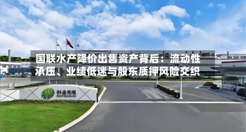 国联水产降价出售资产背后：流动性承压	、业绩低迷与股东质押风险交织-第3张图片