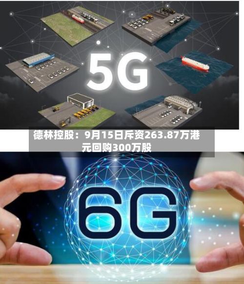 德林控股:9月15日斥资263.87万港元回购300万股-第2张图片