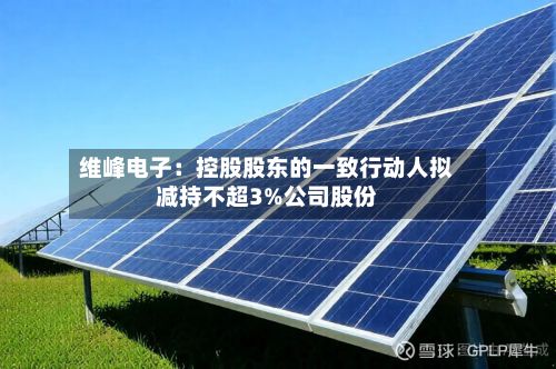 维峰电子:控股股东的一致行动人拟减持不超3%公司股份-第2张图片