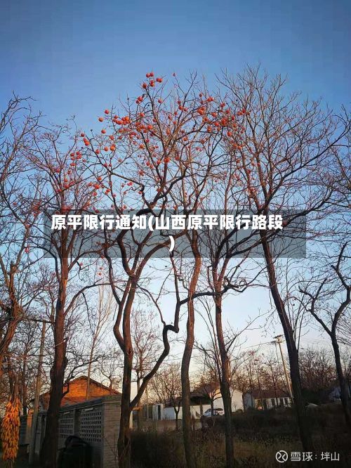 原平限行通知(山西原平限行路段)-第2张图片