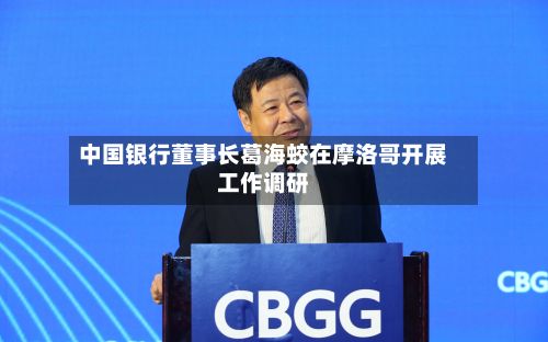 中国银行董事长葛海蛟在摩洛哥开展工作调研-第3张图片