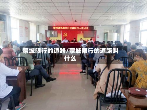 蒙城限行的道路/蒙城限行的道路叫什么-第2张图片