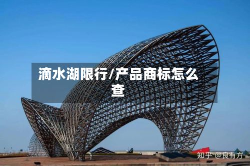 滴水湖限行/产品商标怎么查-第2张图片