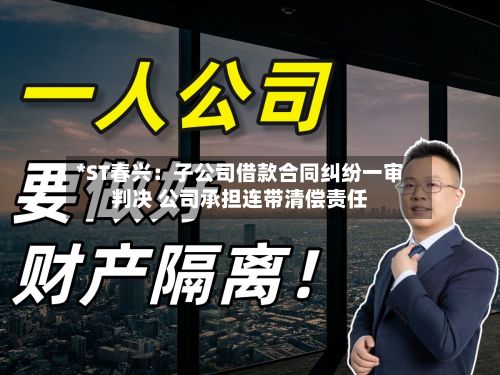 *ST春兴：子公司借款合同纠纷一审判决 公司承担连带清偿责任-第2张图片