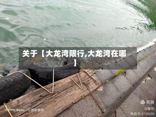 关于【大龙湾限行,大龙湾在哪】-第2张图片