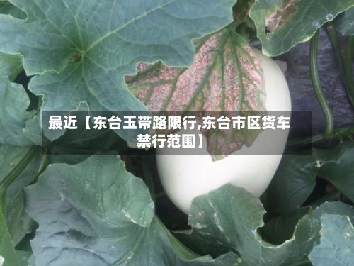 最近【东台玉带路限行,东台市区货车禁行范围】