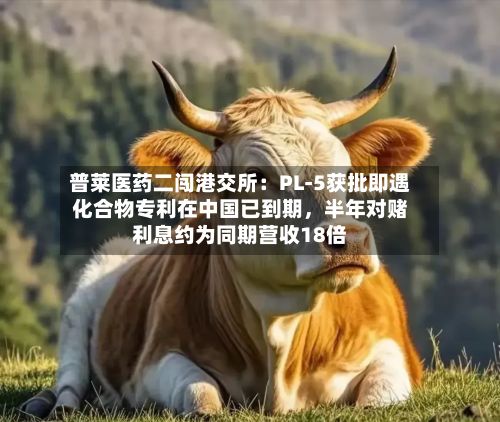 普莱医药二闯港交所：PL-5获批即遇化合物专利在中国已到期，半年对赌利息约为同期营收18倍-第2张图片