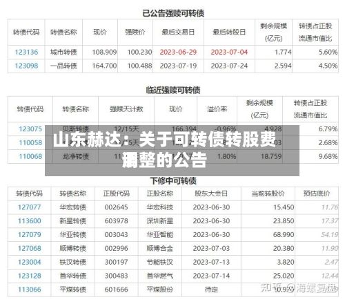 山东赫达：关于可转债转股费用调整的公告