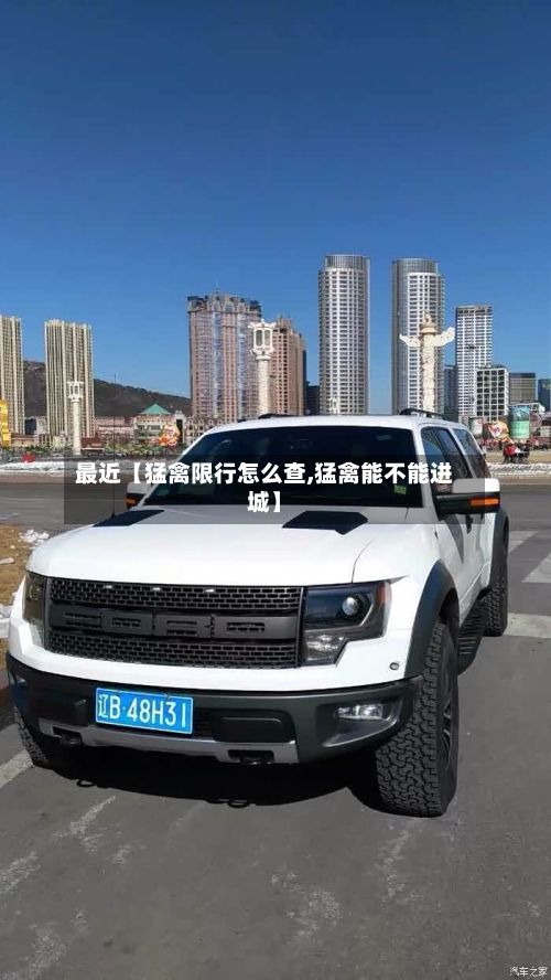 最近【猛禽限行怎么查,猛禽能不能进城】-第2张图片