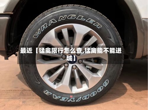 最近【猛禽限行怎么查,猛禽能不能进城】-第3张图片