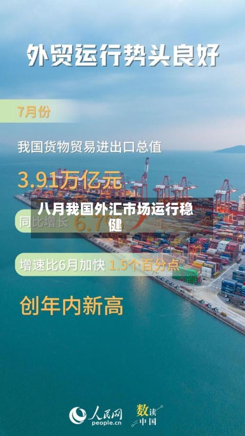 八月我国外汇市场运行稳健-第2张图片