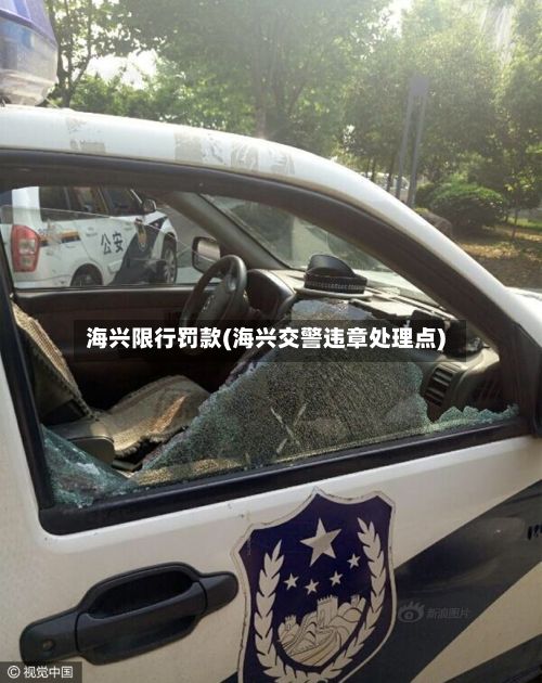 海兴限行罚款(海兴交警违章处理点)
