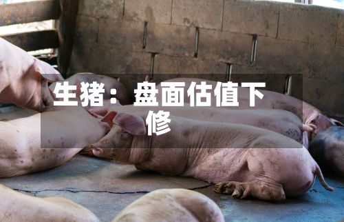生猪:盘面估值下修-第2张图片