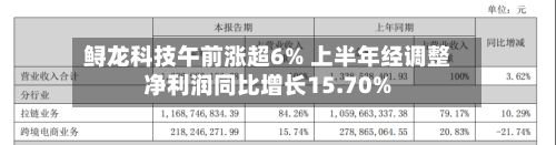 鲟龙科技午前涨超6% 上半年经调整净利润同比增长15.70%-第1张图片