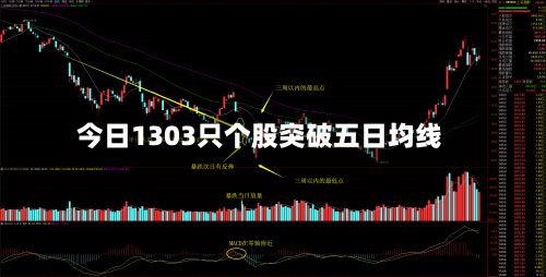 今日1303只个股突破五日均线-第3张图片