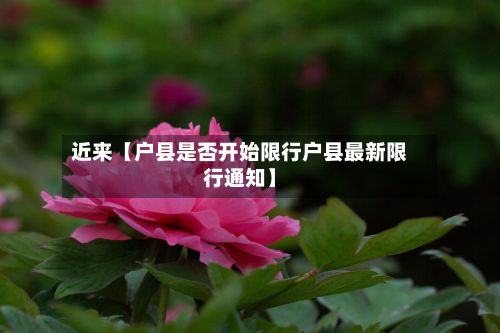 近来【户县是否开始限行户县最新限行通知】-第2张图片