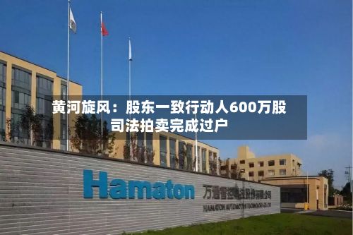 黄河旋风：股东一致行动人600万股司法拍卖完成过户