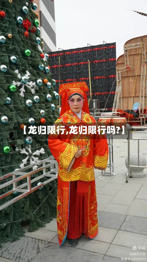 【龙归限行,龙归限行吗?】-第2张图片