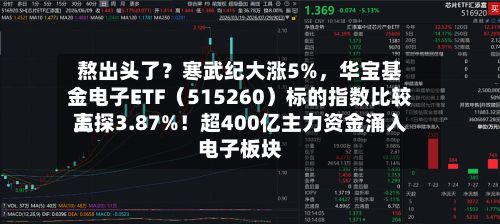 熬出头了？寒武纪大涨5%	，华宝基金电子ETF（515260）标的指数比较高上探3.87%！超400亿主力资金涌入电子板块-第2张图片