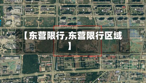 【东营限行,东营限行区域】