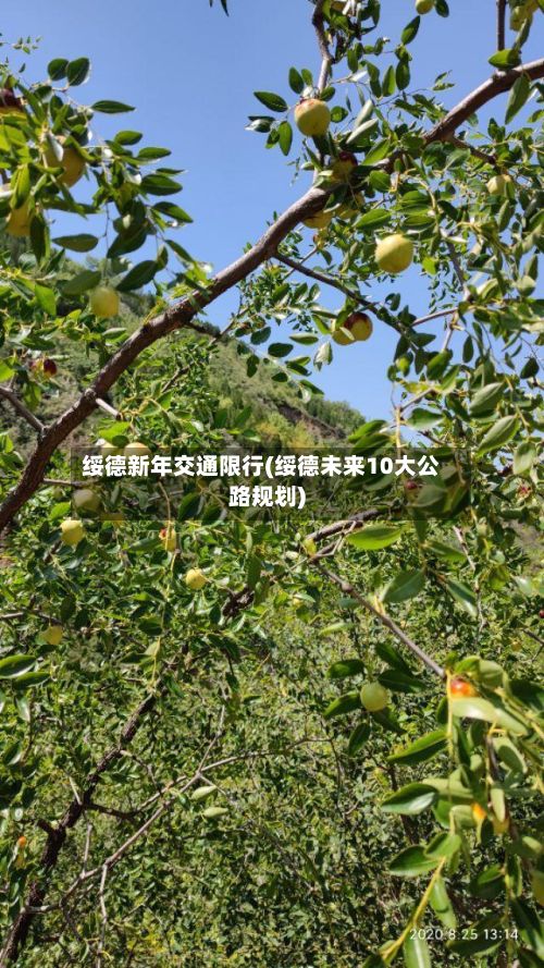 绥德新年交通限行(绥德未来10大公路规划)