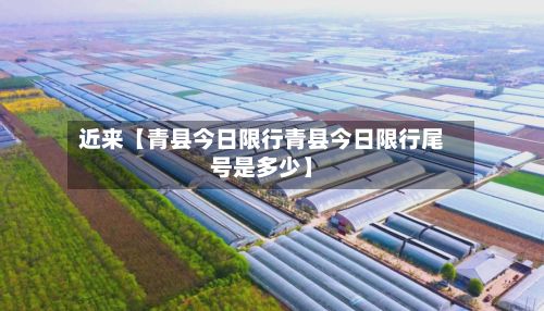 近来【青县今日限行青县今日限行尾号是多少】-第3张图片