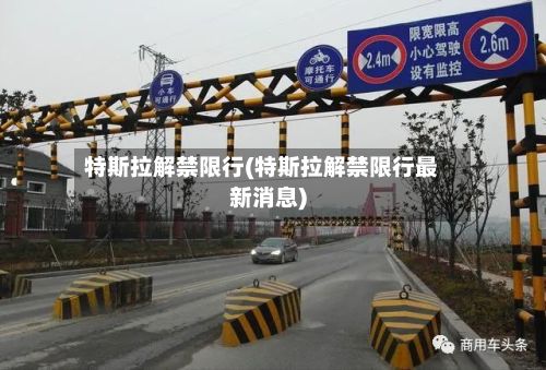 特斯拉解禁限行(特斯拉解禁限行最新消息)-第3张图片