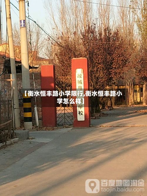 【衡水恒丰路小学限行,衡水恒丰路小学怎么样】-第2张图片