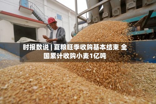 时报数说 | 夏粮旺季收购基本结束 全国累计收购小麦1亿吨-第1张图片