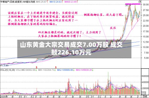 山东黄金大宗交易成交7.00万股 成交额226.10万元-第3张图片