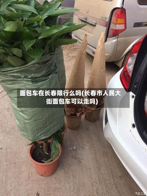 面包车在长春限行么吗(长春市人民大街面包车可以走吗)-第2张图片
