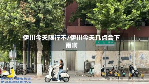 伊川今天限行不/伊川今天几点会下雨啊-第3张图片