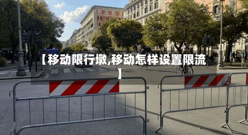 【移动限行墩,移动怎样设置限流】-第3张图片