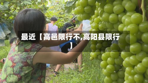 最近【高邑限行不,高阳县限行】-第3张图片