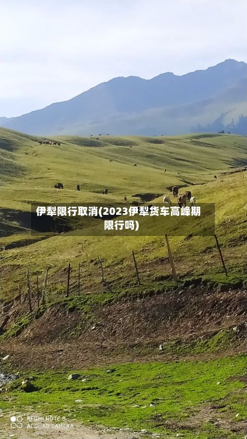 伊犁限行取消(2023伊犁货车高峰期限行吗)